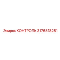 3176818281 КОНТРОЛЬ Epiroc