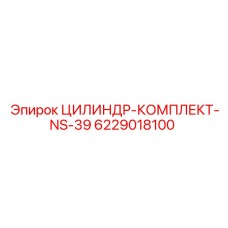 6229018100 ЦИЛИНДР-КОМПЛЕКТ-NS-39 Epiroc