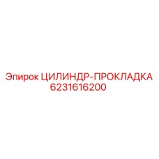 Уплотнение цилиндра 6231616200 для буровых установок Epiroc