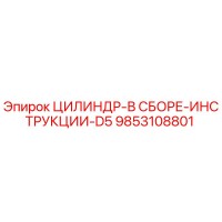 9853108801 ЦИЛИНДР-В СБОРЕ-ИНСТРУКЦИИ-D5 Epiroc