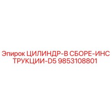 9853108801 ЦИЛИНДР-В СБОРЕ-ИНСТРУКЦИИ-D5 Epiroc
