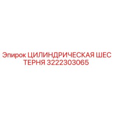 3222303065 ЦИЛИНДРИЧЕСКАЯ ШЕСТЕРНЯ Epiroc