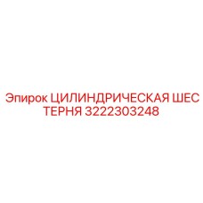 3222303248 ЦИЛИНДРИЧЕСКАЯ ШЕСТЕРНЯ Epiroc