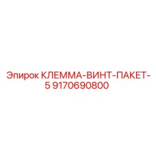 Комплект клемм-винтов Epiroc артикул 9170690800