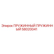 58020041 ПРУЖИННЫЙ ПРУЖИННЫЙ Epiroc