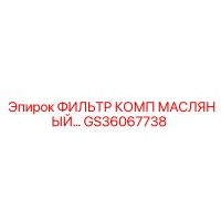 GS36067738 ФИЛЬТР КОМП МАСЛЯНЫЙ Epiroc