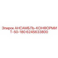 6245633800 АНСАМБЛЬ-КОНФОРМИТ-50-180 Epiroc