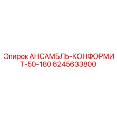 6245633800 АНСАМБЛЬ-КОНФОРМИТ-50-180 Epiroc