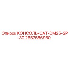 2657586950 КОНСОЛЬ-CAT-DM25-SP-30 Epiroc