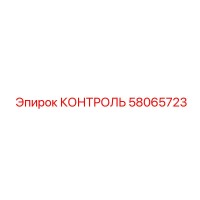 58065723 КОНТРОЛЬ Эпирок