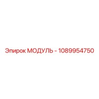 1089954750 МОДУЛЬ Epiroc