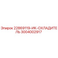 3004002917 22869119-ИК-ОХЛАДИТЕЛЬ Epiroc
