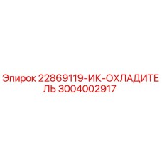 3004002917 22869119-ИК-ОХЛАДИТЕЛЬ Epiroc