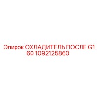 1092125860 ОХЛАДИТЕЛЬ ПОСЛЕ G160 Эпирок