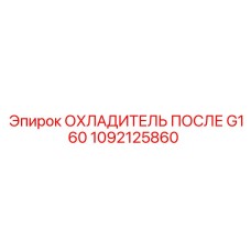 1092125860 ОХЛАДИТЕЛЬ ПОСЛЕ G160 Эпирок
