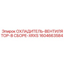 1604663584 - ОХЛАДИТЕЛЬ-ВЕНТИЛЯТОР-В СБОРЕ-XRXS Epiroc
