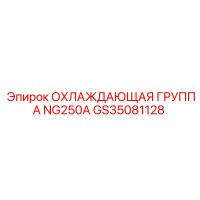 GS35081128 ОХЛАЖДАЮЩАЯ ГРУППА NG250A Epiroc