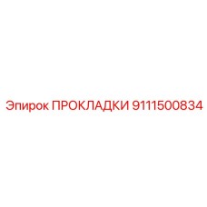 9111500834 ПРОКЛАДКИ Epiroc