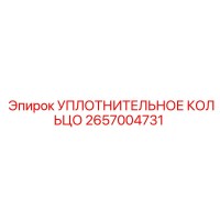 2657004731 УПЛОТНИТЕЛЬНОЕ КОЛЬЦО Epiroc