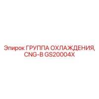 GS20004X ГРУППА ОХЛАЖДЕНИЯ CNG-B Epiroc