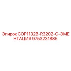 9753231885 COP1132B-R3202-C-ЭМЕНТАЦИЯ Epiroc