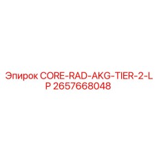 2657668048 CORE-RAD-AKG-TIER-2-LP Epiroc