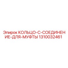 1310032461 КОЛЬЦО-С-СОЕДИНЕНИЕ-ДЛЯ-МУФТЫ Epiroc