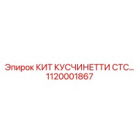1120001867 КИТ КУСЧИНЕТТИ СТС… Epiroc