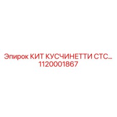 1120001867 КИТ КУСЧИНЕТТИ СТС… Epiroc