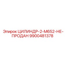 9900481378 ЦИЛИНДР-2-M652 Epiroc