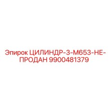 9900481379 ЦИЛИНДР-3-M653 Epiroc
