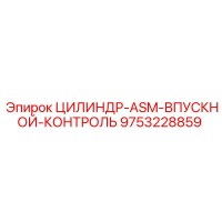 9753228859 ЦИЛИНДР-ASM-ВПУСКНОЙ-КОНТРОЛЬ Epiroc
