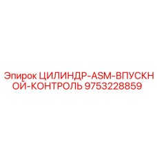 9753228859 ЦИЛИНДР-ASM-ВПУСКНОЙ-КОНТРОЛЬ Epiroc