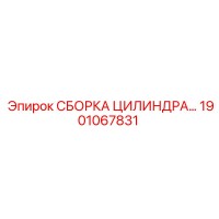 1901067831 СБОРКА ЦИЛИНДРА… Epiroc