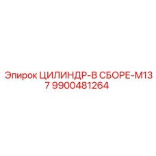 9900481264 ЦИЛИНДР-В СБОРЕ-M137 Epiroc