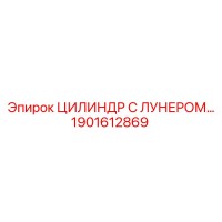 1901612869 ЦИЛИНДР С ЛУНЕРОМ Epiroc