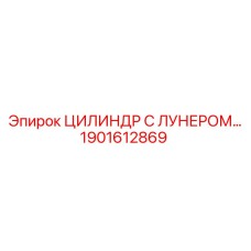 1901612869 ЦИЛИНДР С ЛУНЕРОМ Epiroc