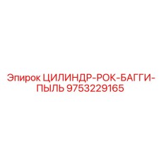 9753229165 ЦИЛИНДР-РОК-БАГГИ-ПЫЛЬ Epiroc