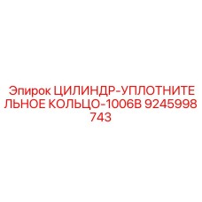 9245998743 ЦИЛИНДР-УПЛОТНИТЕЛЬНОЕ КОЛЬЦО-1006B Epiroc