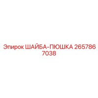 2657867038 ШАЙБА-ПЮШКА Epiroc