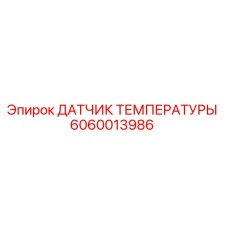 6060013986 ДАТЧИК ТЕМПЕРАТУРЫ Epiroc