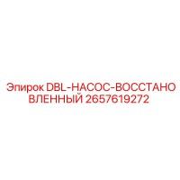 2657619272 DBL-НАСОС-ВОССТАНОВЛЕННЫЙ Epiroc
