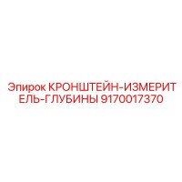 9170017370 КРОНШТЕЙН-ИЗМЕРИТЕЛЬ-ГЛУБИНЫ Epiroc