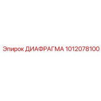 1012078100 ДИАФРАГМА Epiroc