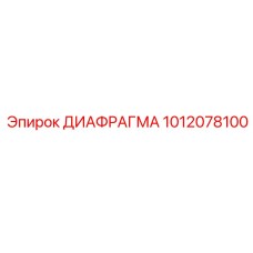 1012078100 ДИАФРАГМА Epiroc