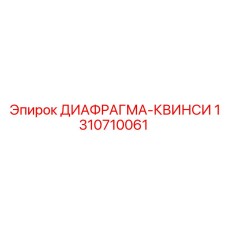 1310710061 ДИАФРАГМА-КВИНСИ Epiroc