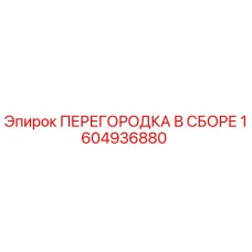 1604936880 ПЕРЕГОРОДКА В СБОРЕ Epiroc