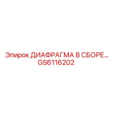GS6116202 ДИАФРАГМА В СБОРЕ Epiroc
