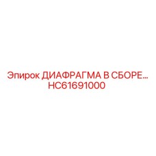 HC61691000 ДИАФРАГМА В СБОРЕ Epiroc