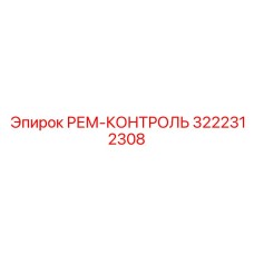 3222312308 РЕМ-КОНТРОЛЬ Epiroc